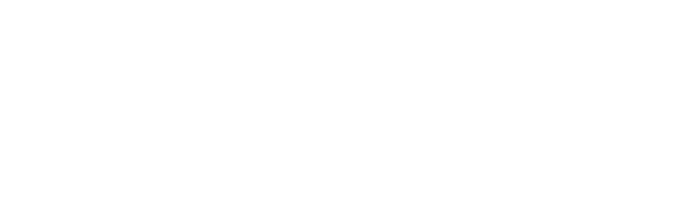Observer.Report